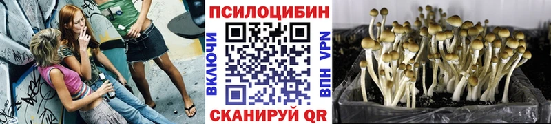 Галлюциногенные грибы ЛСД Воткинск